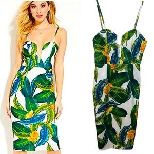 TIGER MIST Green Tropics Miranda Banana‎ Leaf/Floral Print Dress size Large